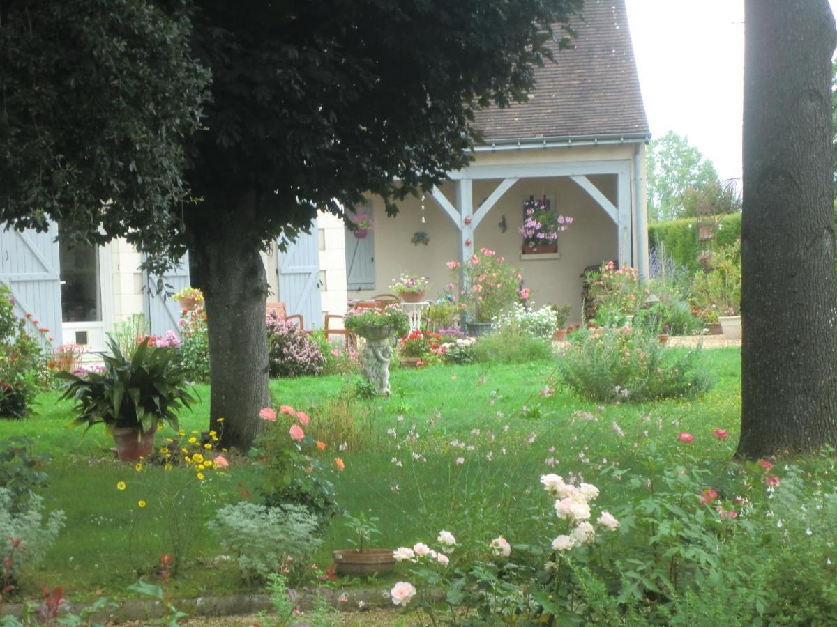 Chambre D'Hotes La Belle Saison Villedomer Esterno foto